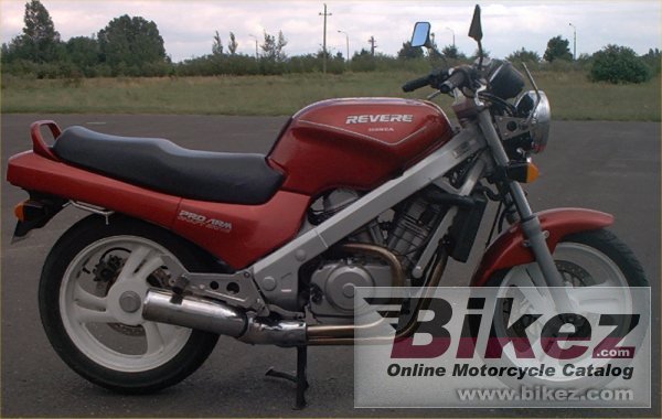 Big Marcin Wilk ntv 650 revere picture and wallpaper from Bikez.com